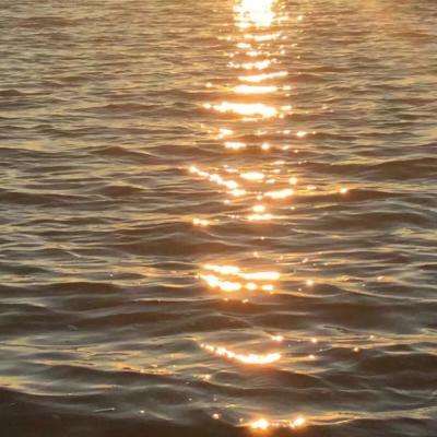 188金宝搏手机app下载